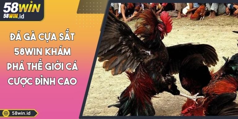 Đá Gà Cựa Sắt 58WIN Khám Phá Thế Giới Cá Cược Đỉnh Cao 1 đá gà cựa sắt 58WIN